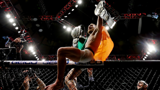 Conor McGregor, Who Is Definitely Serious And Not Trolling The UFC, Registers To Fight As A Boxer